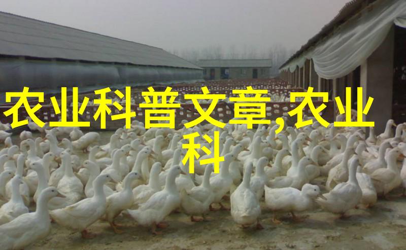 各种属相的幸运花我的财富之花