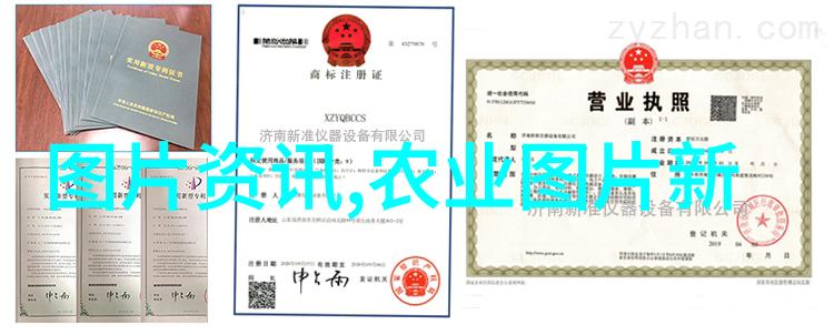 蔬菜专用种植箱让你的家里充满绿意别忘了给它们一点土味