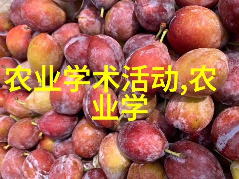 庭院秘密茶花树的影子