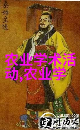 最好吃的水果甜蜜多汁水果盛宴