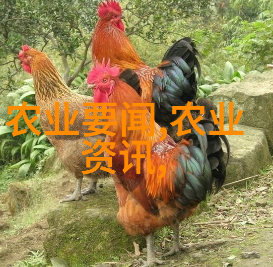 秘境药材揭秘未来最赚钱的中药种植