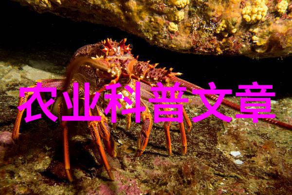 学术农业活动包括哪些_农学活动有什么_农业学术活动