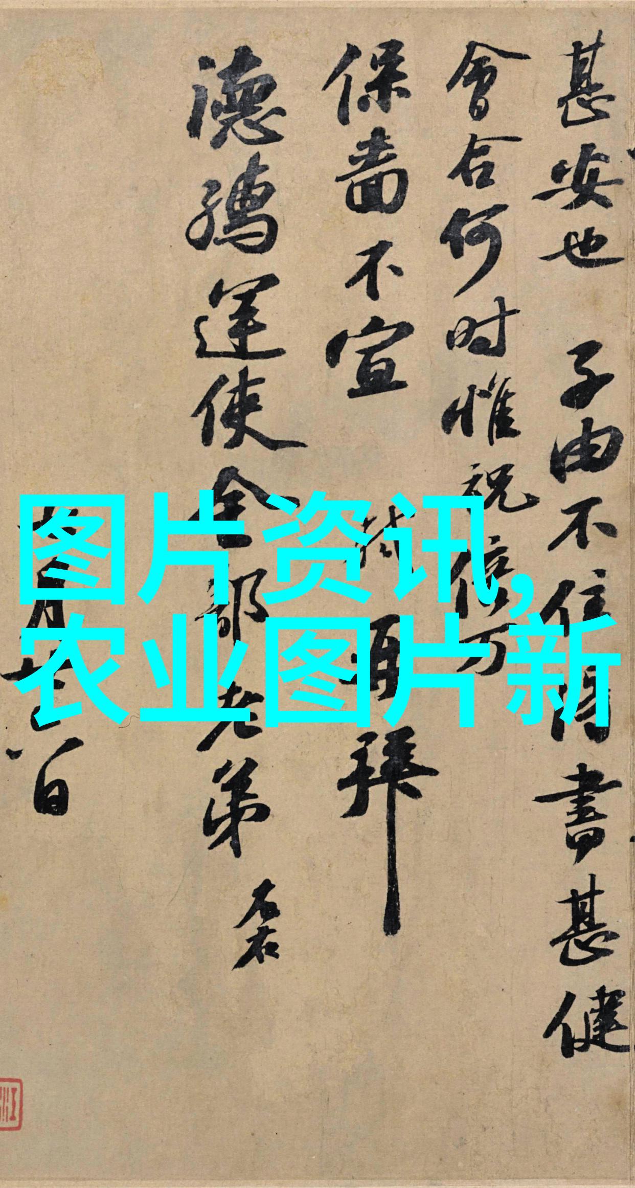 农场早报猪市走向新篇章