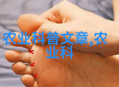 从零到英雄如何规划一个成功的养殖业计划