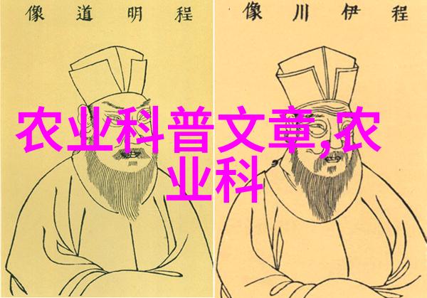 农业机械-绿色能源的助手秸秆打包机在农村循环利用的革命