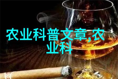 中药连翘种植前景-连翘之星探索中医药产业的新蓝图