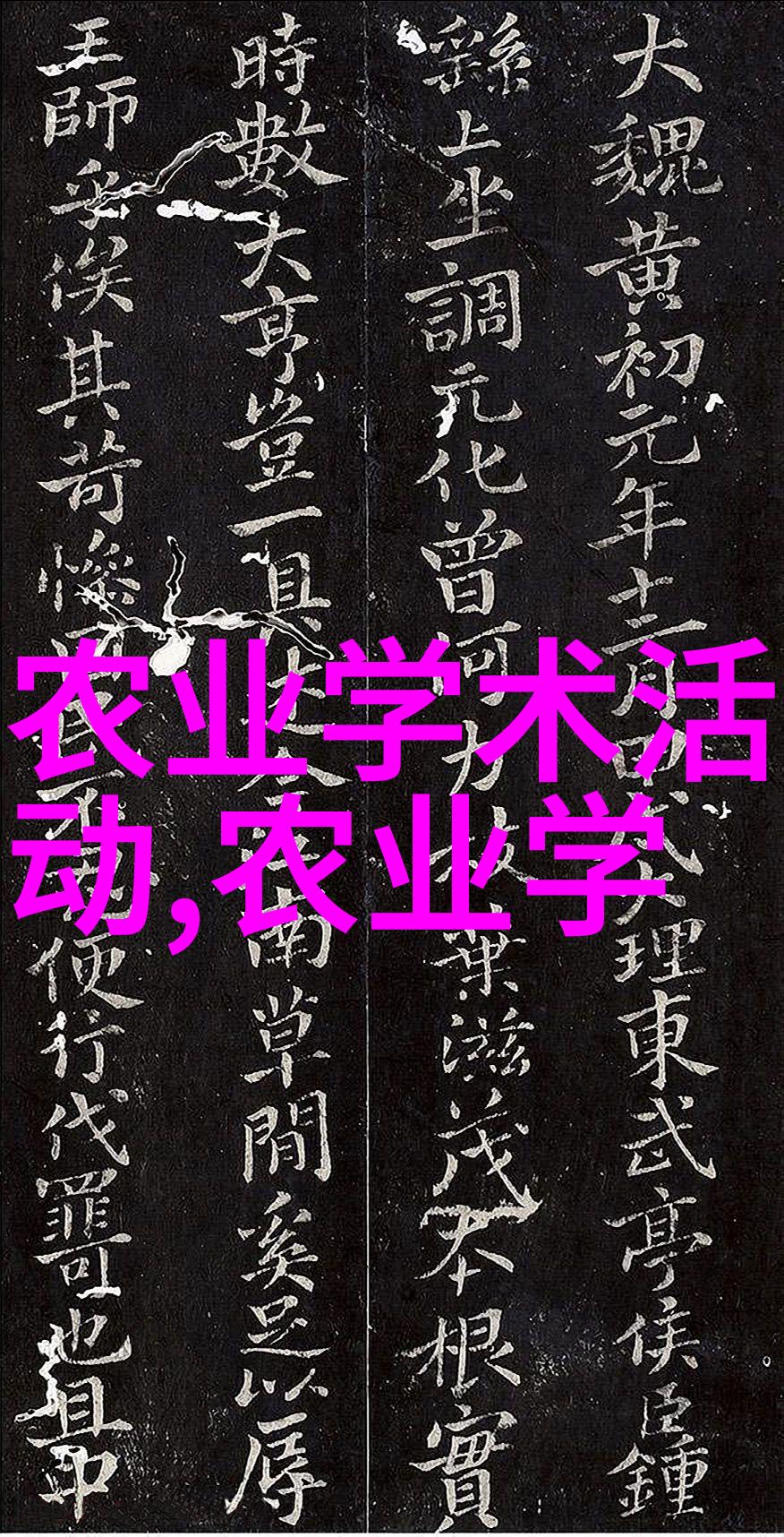 庭院种花秘笈揭秘最能旺宅的植物选择