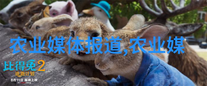 野生金线莲水中翩翩舞的美丽精灵