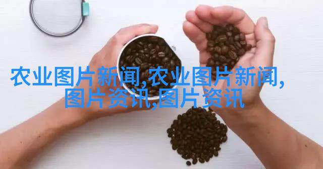 传统风格家的盆栽