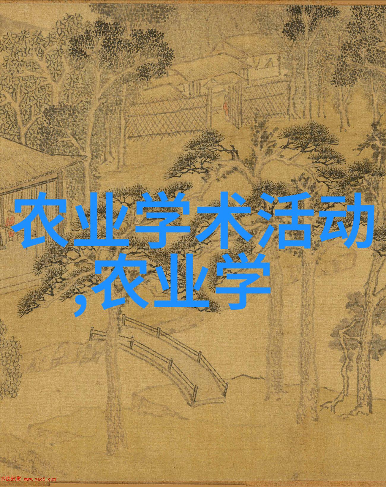 蜂群匠心探索蜜蜂工具箱中的每一项宝贝