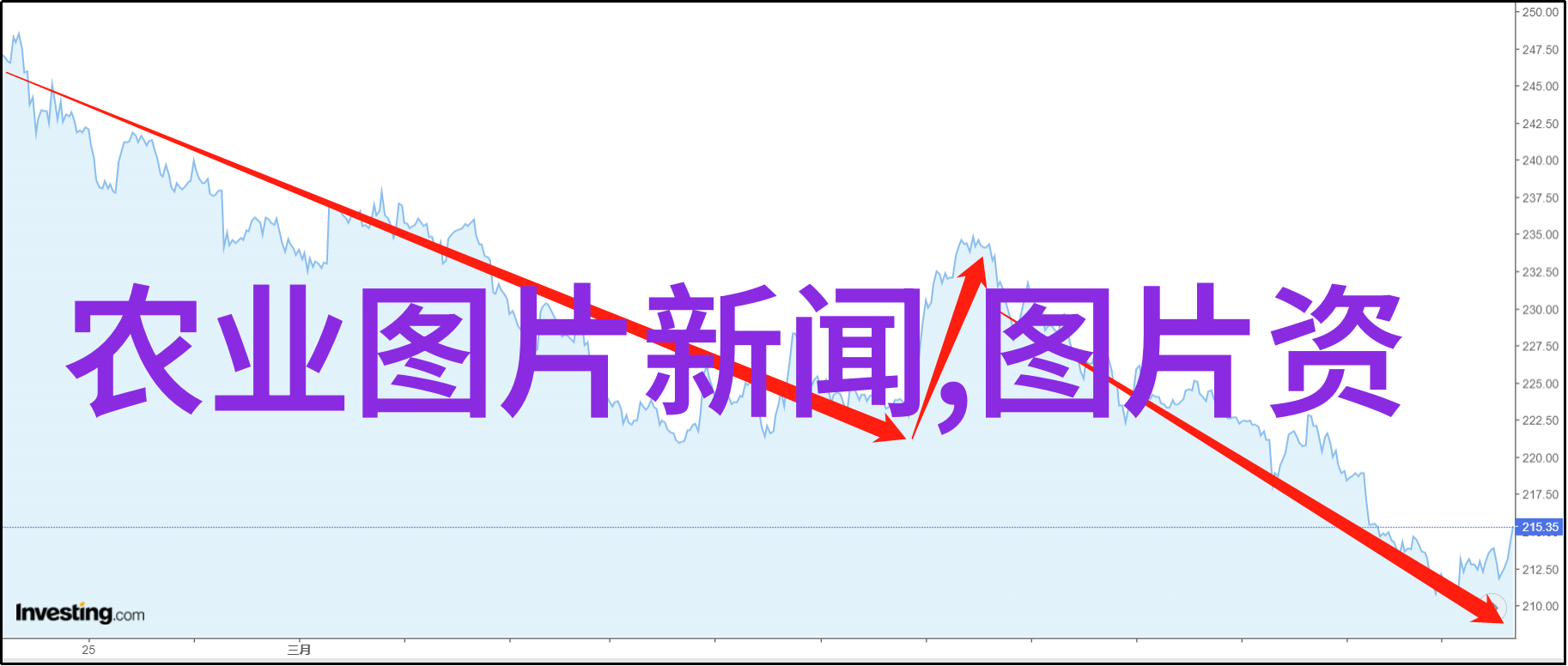 绿色健康饲料选择合适的草种养活你的猪群