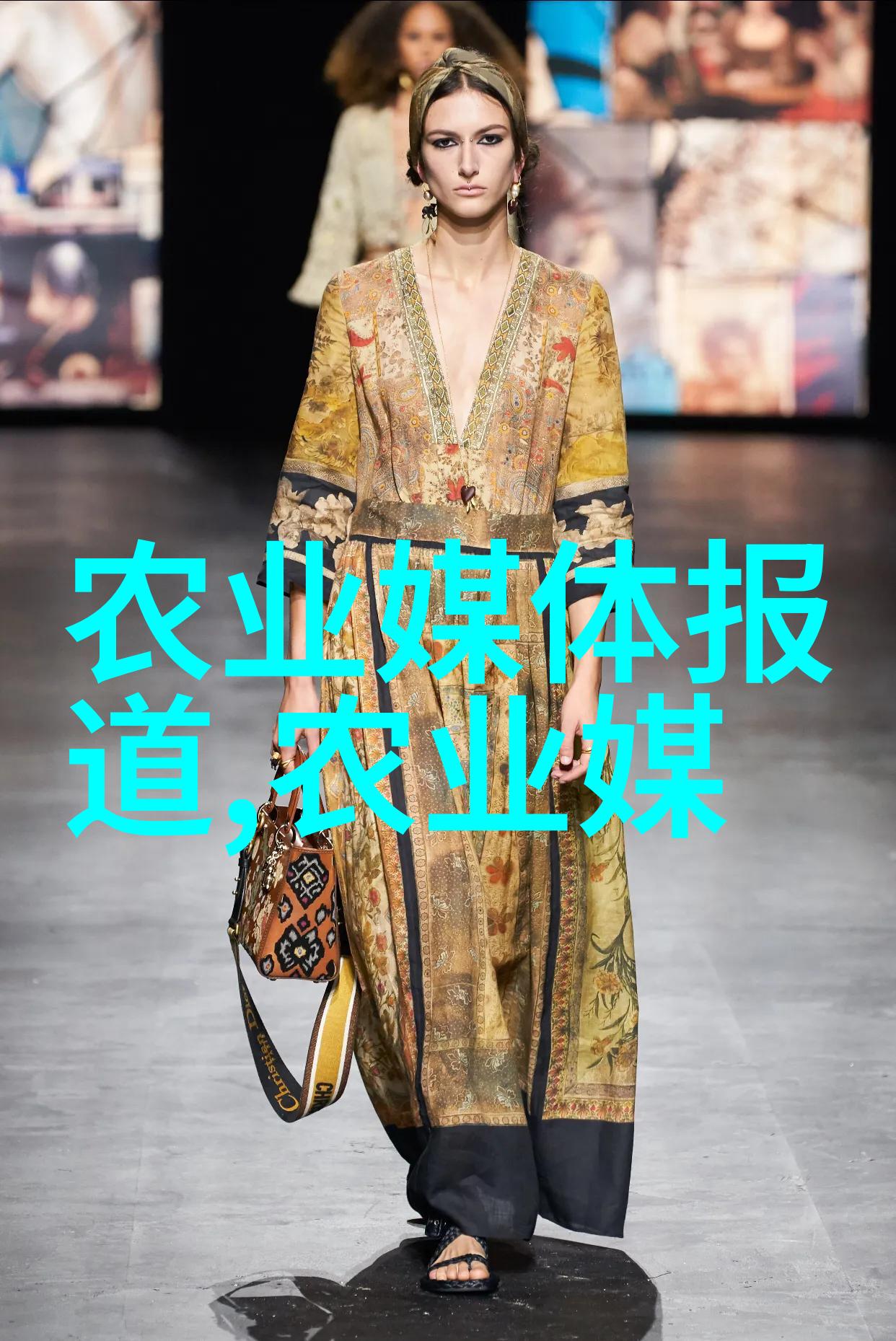 河南最大蔬菜种植基地我的绿色背包旅行探索农民的辛勤汗水与大自然的恩赐