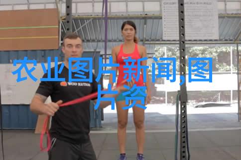 羊群中的明珠选购小母羊的智慧之道