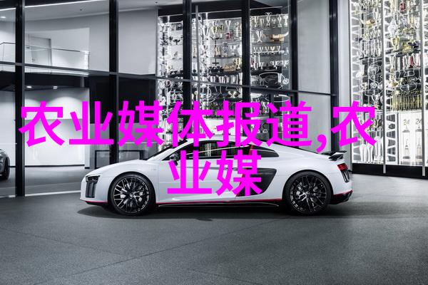 机械手 - 钢臂巨蟒探秘现代工业的精密机械手