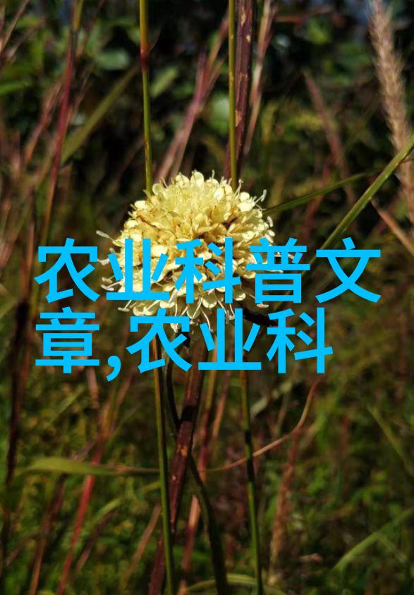 品味多样探索各类茶叶的健康益处