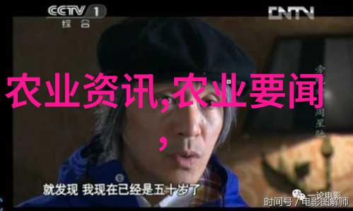 多肉盆栽花卉批发之谜揭秘哪里能买到最便宜的神奇植物