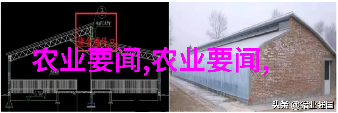 竹鼠蛋白质含量高对于食品安全有什么影响吗