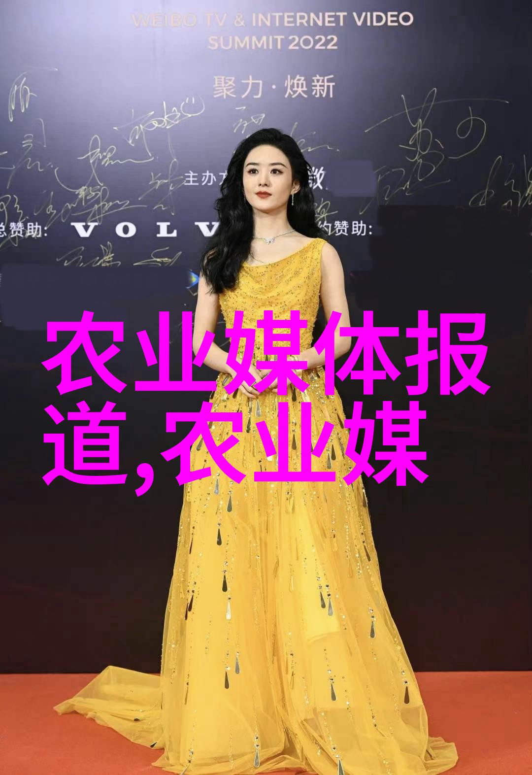 群聊里的温暖养殖户的日常故事
