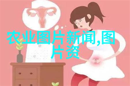 肉兔养殖技术从土豆到鲜花兔子也能变身小农民