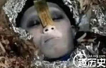 如何利用现代科技手段提升淡水小龍蝦養殖效率與收益