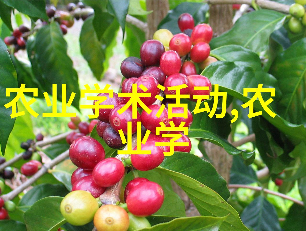 健康第一网种蔬菜质量控制需谨慎吗