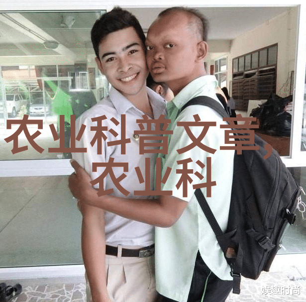 家庭用玉米棒自动输送系统的设计与优化