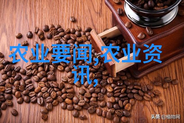 花香满园2朵花儿的生长秘诀