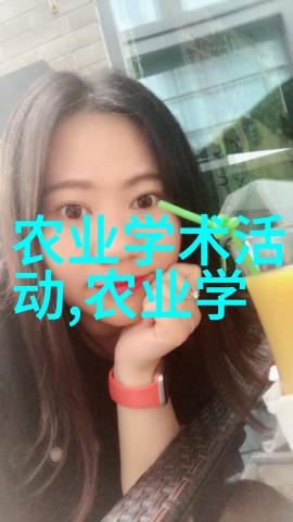 深夜森林的秘密机械