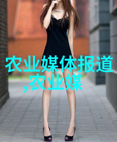 茶叶的奇妙世界解锁其文化与健康之秘密