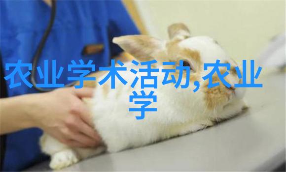 选择适合自家小院种植的花卉需要考虑哪些因素呢