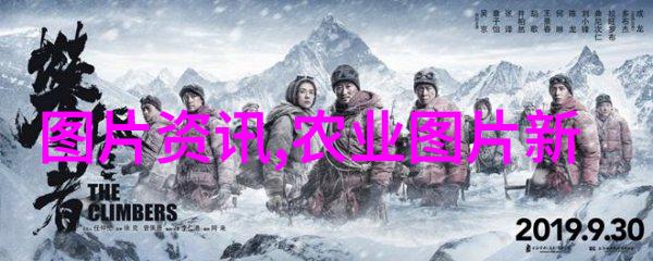 2022年樱桃新品种甜美风味的创新之花