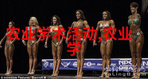 蜜蜂的新家如何引领它们搬进蜂箱