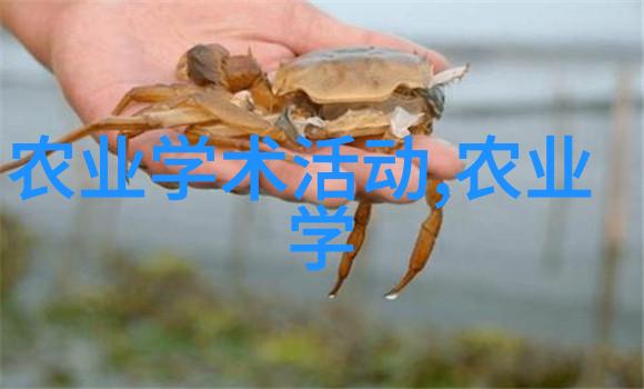春夏秋冬一树花果 奇迹中的果园