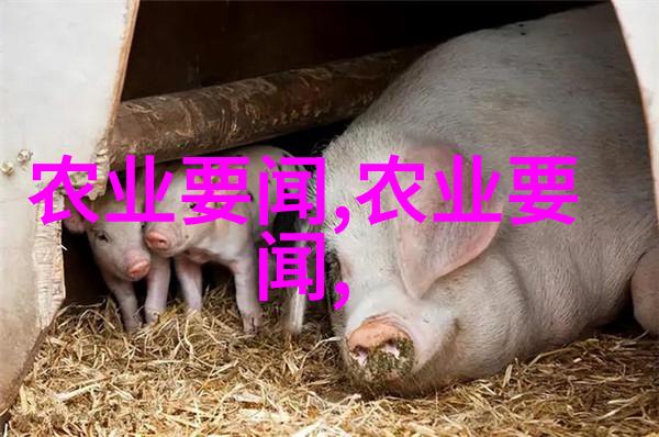 十四场夜雨1V2我和他在雨中一场错综复杂的爱情纠葛