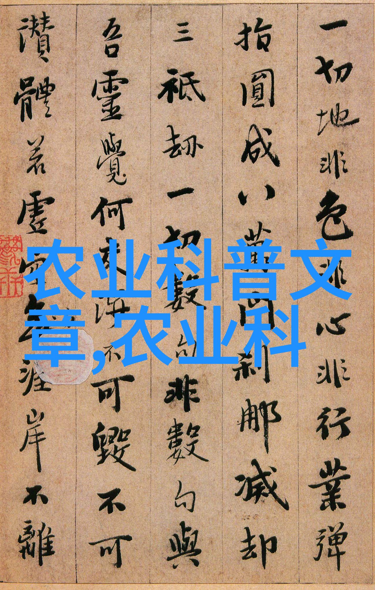 丰富多彩的果实种子世界色彩斑斓的自然奇迹