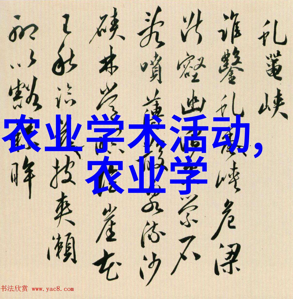 锦夜来否织梦者与时光的交响