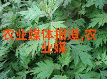 蔬菜种植专家免费咨询解锁您的绿色梦想园地