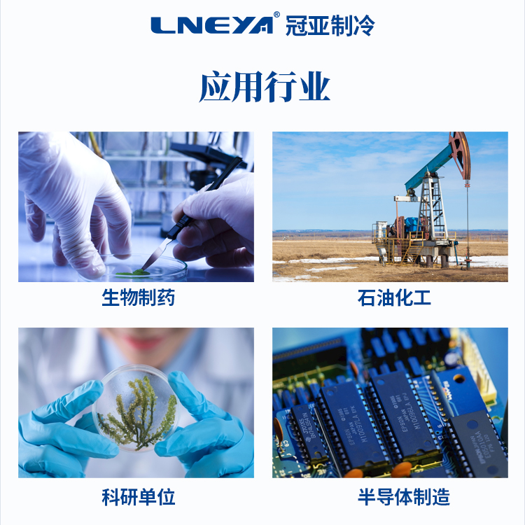 蜂起南方如何用智慧和汗水开创蜂蜜帝国