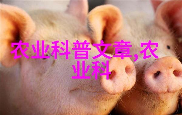 公路绿化花卉品种选择与应用概述