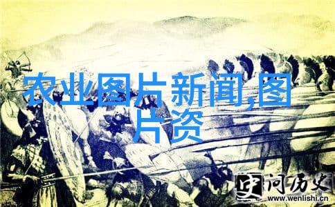 经济日报蛋价持续下跌后快速反弹xff0c专家表示三季度鸡蛋消费有望提振