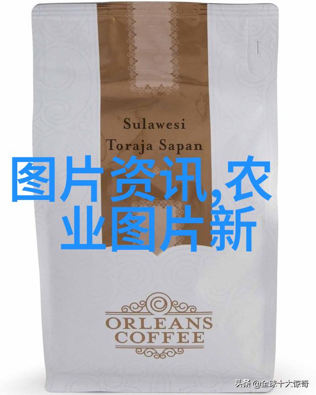 长相思第三部情深缘起长相思系列的完美结局