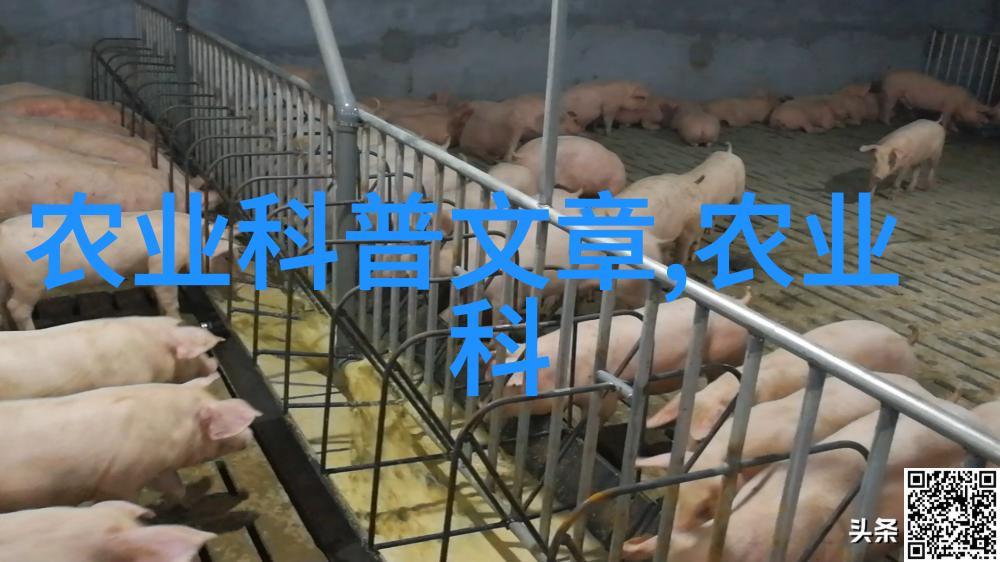 黑龙江地区适宜种植的中药材种类介绍