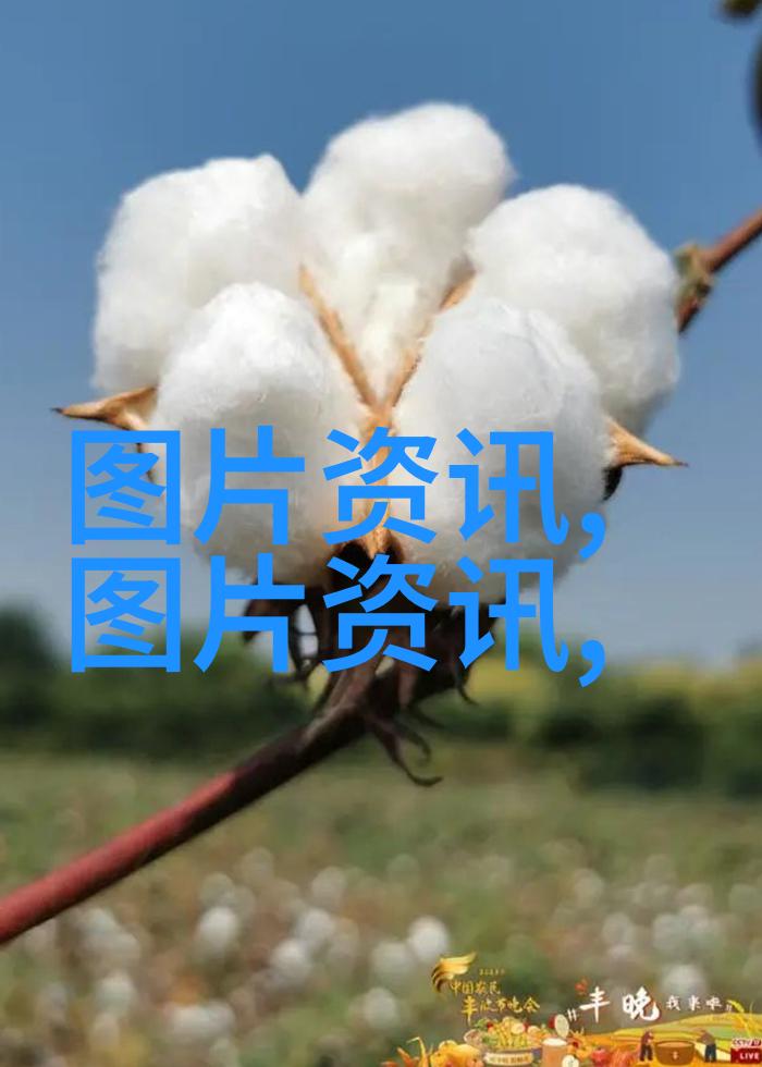 蔬菜的多样性与营养价值