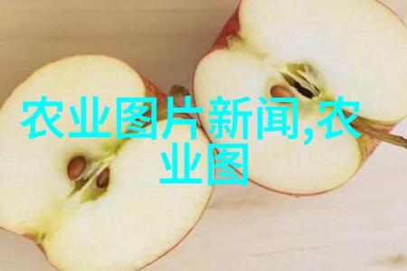 花瓣之梦播种花卉的艺术与技巧
