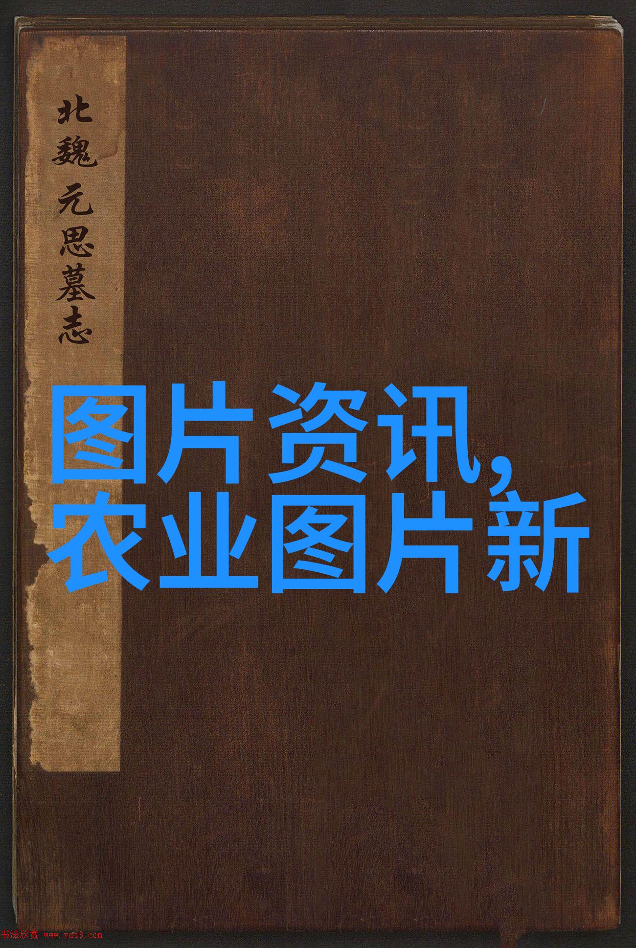 无人驾驶播种机器人智能农业技术革新