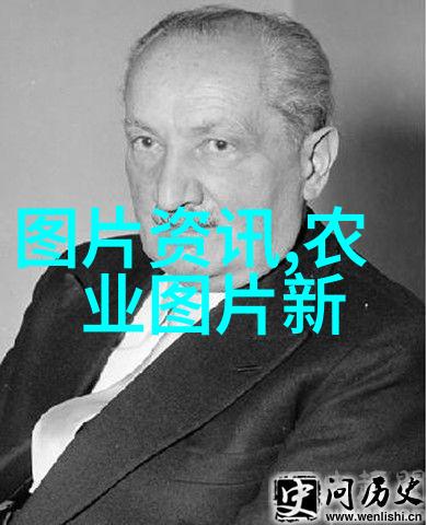 关于茶叶的资料 - 品鉴天下揭秘茶叶文化与制作艺术