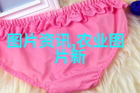 my8826蜜芽-我的秘密花园探索my8826蜜芽世界的奇迹与魅力