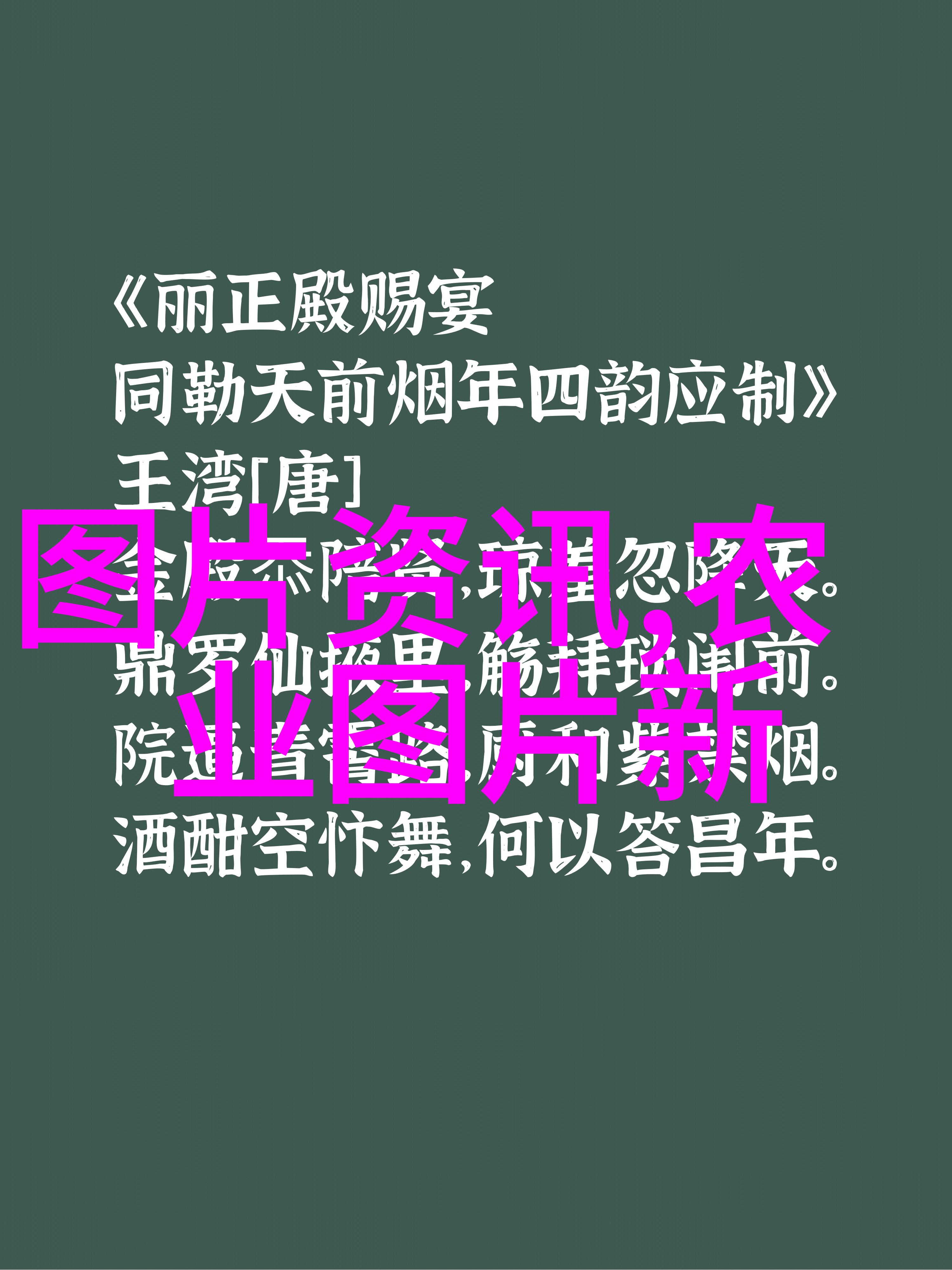 主题我要去12345官网查询一下我的信息了