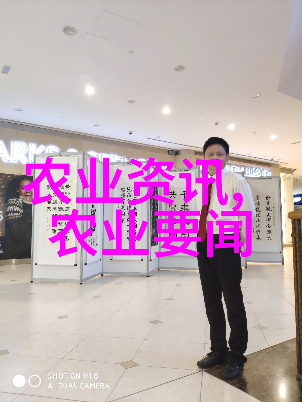 苹果树的长寿秘密揭开它们一般多少年寿命的奥秘
