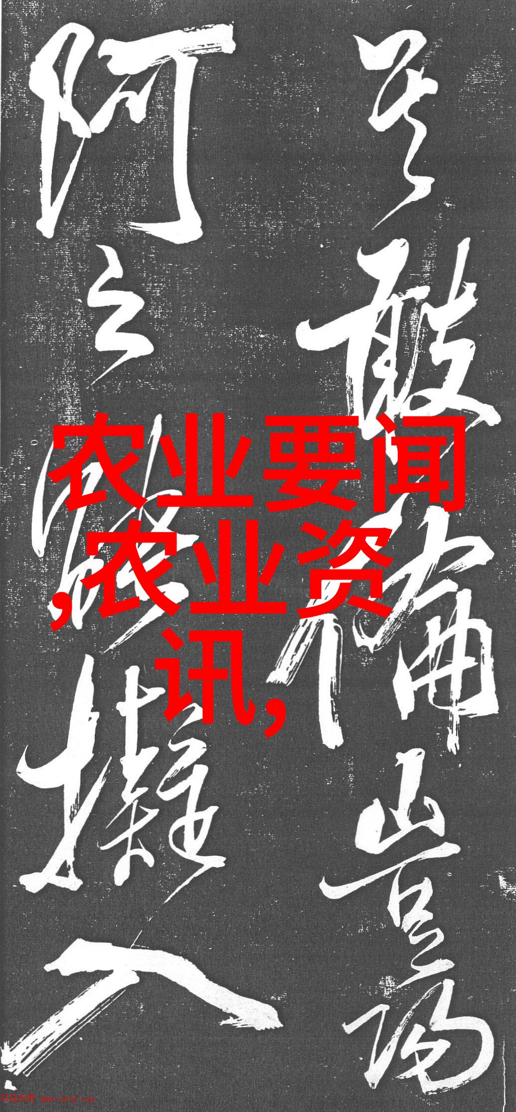 10公分法桐最新市场价探究